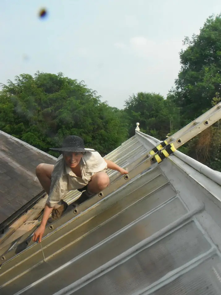 Jed on roof