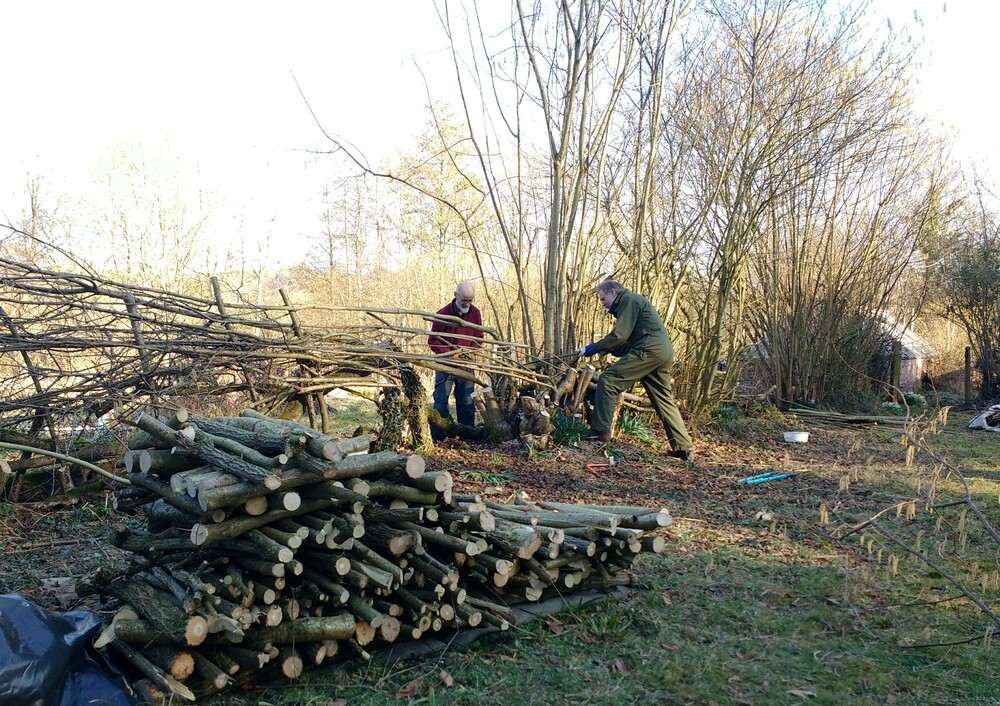 Land plan coppicing