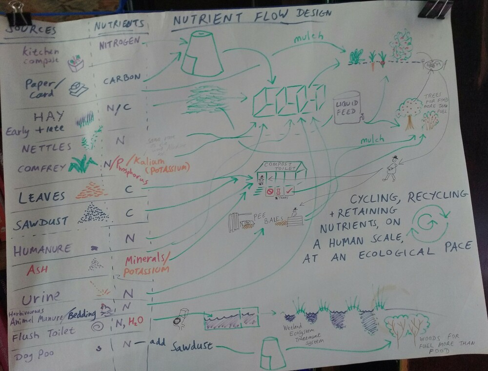 Nutrient Flow poster