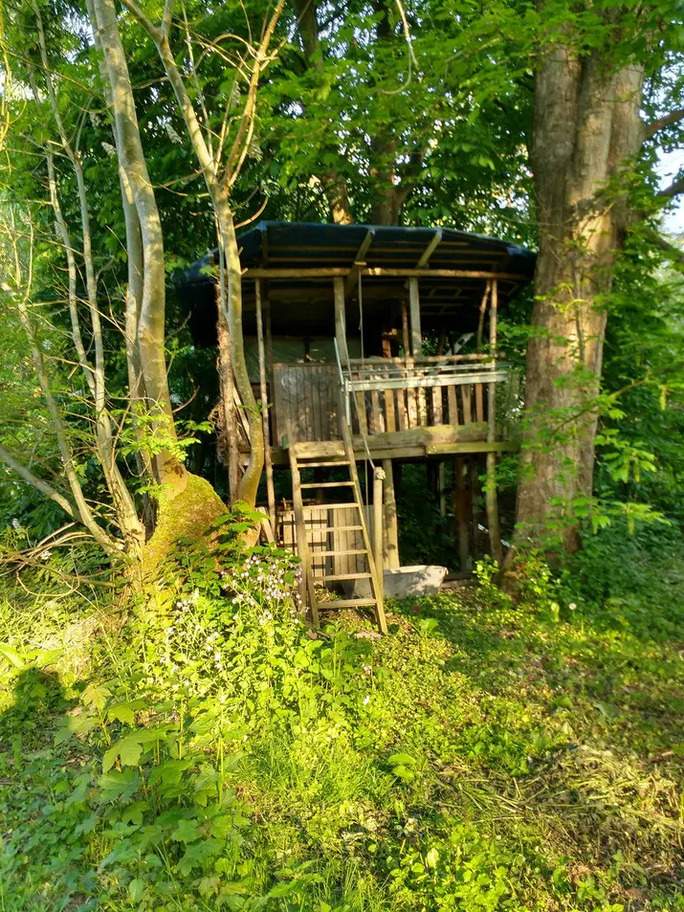 Treehouse